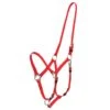 Zilco Deluxe Endurance Bridle/Halter Cavesson Only - Red