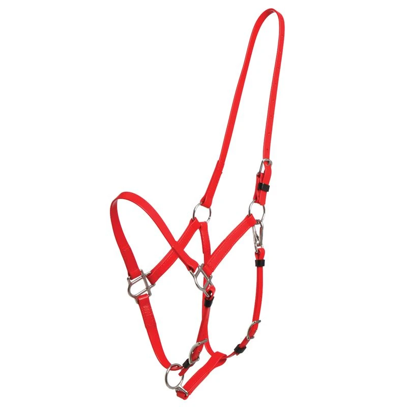 Zilco Deluxe Endurance Bridle/Halter Cavesson Only - Red Zilco Deluxe Endurance Bridle/Halter Cavesson Only - Red -Ovation Store 545685 800 800