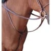 Passport Square Raised Standing Martingale - Mahogany -Ovation Store 546030 800 800