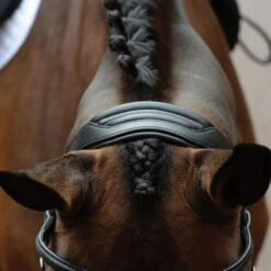 Collegiate Comfitec Vogue Anatomical Bridle - Brown 4 Collegiate Comfitec Vogue Anatomical Bridle - Brown -Ovation Store 553343 800 800