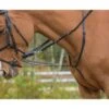 Shires Avignon German Martingale - Black -Ovation Store 553701 800 800
