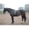 Shires Lunging Aid - Black -Ovation Store 553776 800 800