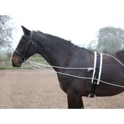 Shires Lunging Aid - Black -Ovation Store 553778 800 800