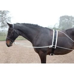 Shires Lunging Aid - Black -Ovation Store 553779 800 800
