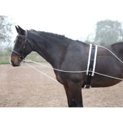 Shires Lunging Aid - Black -Ovation Store 553780 800 800