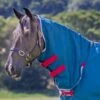 Shires Tempest Original Lite Neck Cover - Teal -Ovation Store 554417 800 800