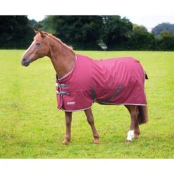 Shires Highlander Mini Turnout - Maroon