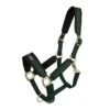 Back On Track Werano Halter - Green -Ovation Store 588765 800 800