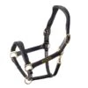 Shires Velociti Rapida Cushioned Leather Headcollar - Black -Ovation Store 620181 800 800