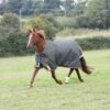 Shires Highlander Plus Lite Standard Neck Turnout - Green -Ovation Store 621031 800 800