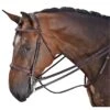 M. Toulouse Platinum Devon Snaffle Hunter Bridle - Chocolate -Ovation Store 631794 800 800