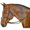 M. Toulouse Classic Figure 8 Bridle - Chocolate 2 M. Toulouse Classic Figure 8 Bridle - Chocolate -Ovation Store 631988 800 800