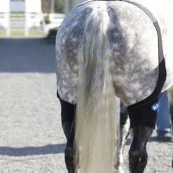 Ice Horse Stifle Wrap - Black -Ovation Store 632120 800 800