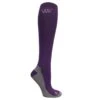 Woof Wear Competition Sock 2 Pairs - Damson/Grey -Ovation Store 644018 800 800