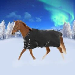 Equinavia Norse Light Weight Turnout Blanket 100g - Black 4 Equinavia Norse Light Weight Turnout Blanket 100g - Black -Ovation Store 678186 800 800