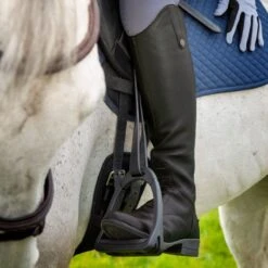 Shires Moretta Women's Gianna Leather Field Boots - Black -Ovation Store 685195 800 800