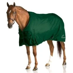 Pessoa 1200D Turnout Sheet - Hunter Green
