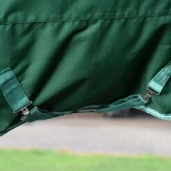 Saxon Defiant 1200D Combo Neck Medium - Hunter Green/White -Ovation Store 707717 800 800