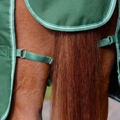 Saxon Defiant 1200D Combo Neck Heavy - Hunter Green/White 6 Saxon Defiant 1200D Combo Neck Heavy - Hunter Green/White -Ovation Store 707876 800 800